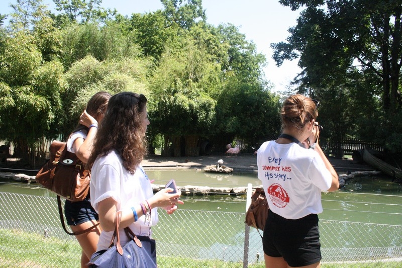 Village Camps International Summer Camp Leysin, Switzerland 2026-07-14 https://www.villagecamps.com/journals_admin/images/681-10-IMG_4725.jpg Village Camps International Summer Camp Leysin, Switzerland 2026-07-14 https://www.villagecamps.com/journals_admin/images/681-10-IMG_4725.jpg