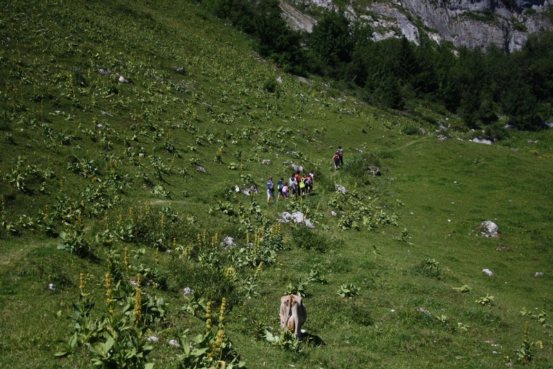 Village Camps International Summer Camp Leysin, Switzerland 2025-08-09 https://www.villagecamps.com/journals_admin/images/712-15-IMG_9978.jpg Village Camps International Summer Camp Leysin, Switzerland 2025-08-09 https://www.villagecamps.com/journals_admin/images/712-15-IMG_9978.jpg