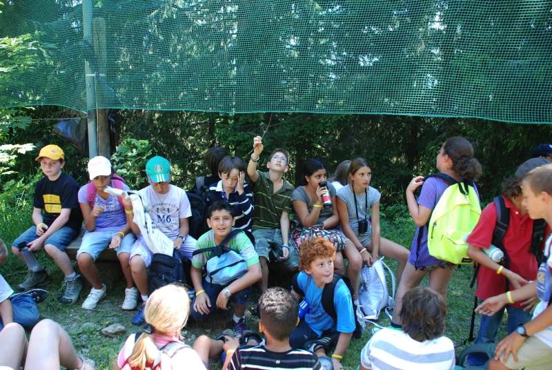 Village Camps International Summer Camp Leysin, Switzerland 2026-07-25 https://www.villagecamps.com/journals_admin/images/88-16-DSC_5832.jpg