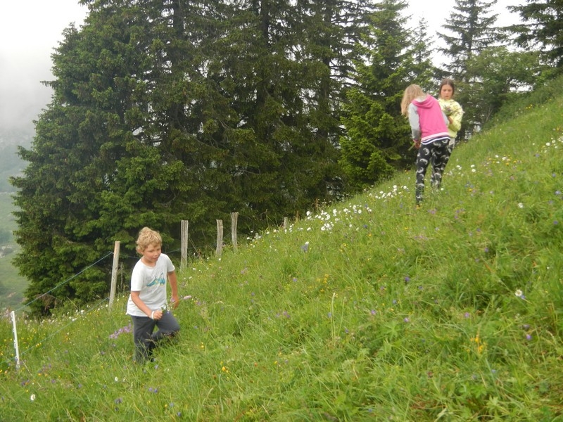Village Camps International Summer Camp Leysin, Switzerland 2025-08-09 https://www.villagecamps.com/journals_admin/images/943-15-DSCN8506.jpg Village Camps International Summer Camp Leysin, Switzerland 2025-08-09 https://www.villagecamps.com/journals_admin/images/943-15-DSCN8506.jpg