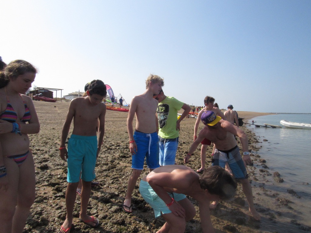 Village Camps International Summer Camp Chiclana, Spain 2017-07-28 https://www.villagecamps.com/journals_admin/images/1466-0120-IMG_0392.jpg