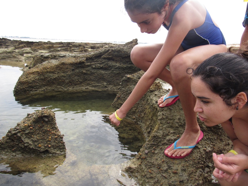 Village Camps International Summer Camp Chiclana, Spain 2017-07-28 https://www.villagecamps.com/journals_admin/images/1468-2423-IMG_0839.jpg