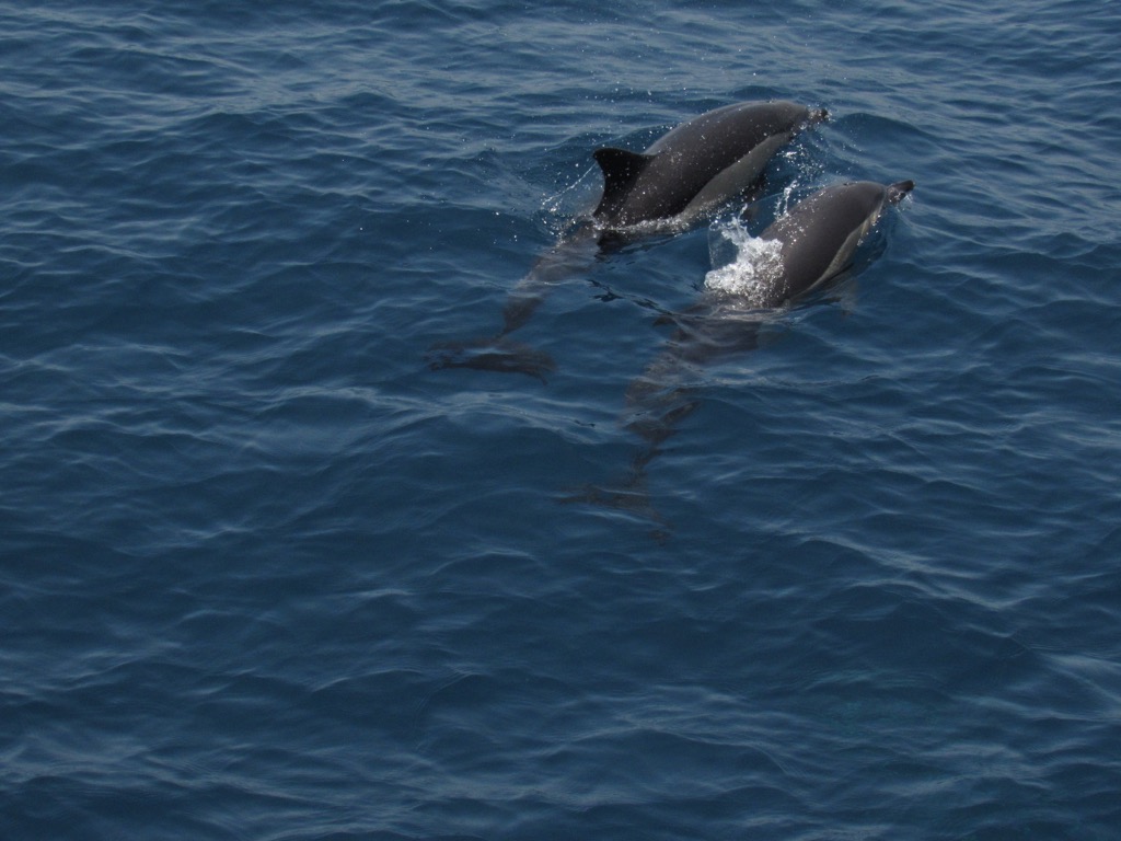 Village Camps International Summer Camp Chiclana, Spain 2017-07-28 https://www.villagecamps.com/journals_admin/images/1472-6935-IMG_1484.jpg