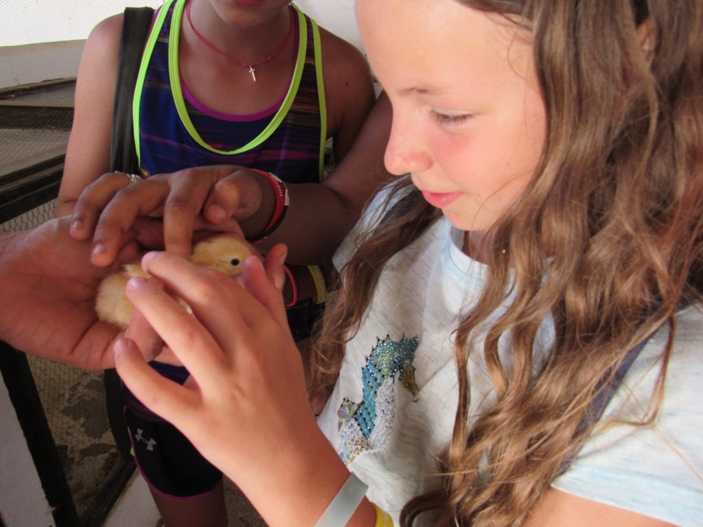 Village Camps International Summer Camp Chiclana, Spain 2017-07-28 https://www.villagecamps.com/journals_admin/images/1476-6378-IMG_2111.jpg