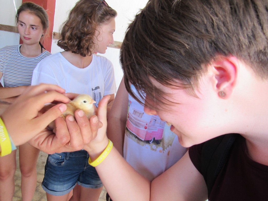 Village Camps International Summer Camp Chiclana, Spain 2017-07-28 https://www.villagecamps.com/journals_admin/images/1476-6385-IMG_2117.jpg