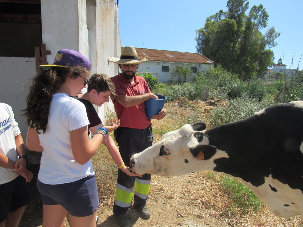 Village Camps International Summer Camp Chiclana, Spain 2017-07-28 https://www.villagecamps.com/journals_admin/images/1476-6462-IMG_2139.jpg Village Camps International Summer Camp Chiclana, Spain 2017-07-28 https://www.villagecamps.com/journals_admin/images/1476-6462-IMG_2139.jpg