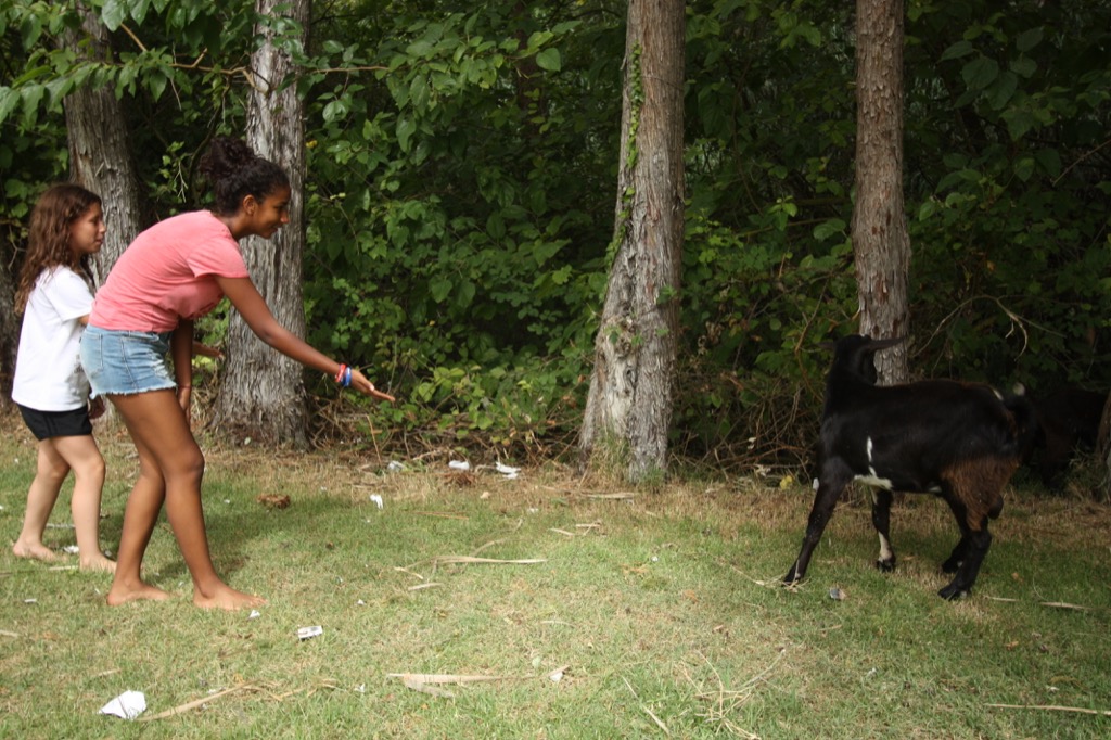 Village Camps International Summer Camp Chiclana, Spain 2017-07-28 https://www.villagecamps.com/journals_admin/images/1510-5021-IMG_2758.jpg