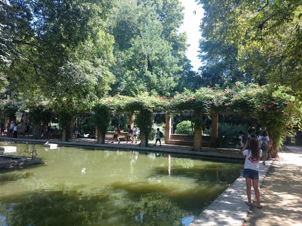 Village Camps International Summer Camp Chiclana, Spain 2017-07-28 https://www.villagecamps.com/journals_admin/images/1515-1598-IMG-20160724-WA0019.jpg Village Camps International Summer Camp Chiclana, Spain 2017-07-28 https://www.villagecamps.com/journals_admin/images/1515-1598-IMG-20160724-WA0019.jpg
