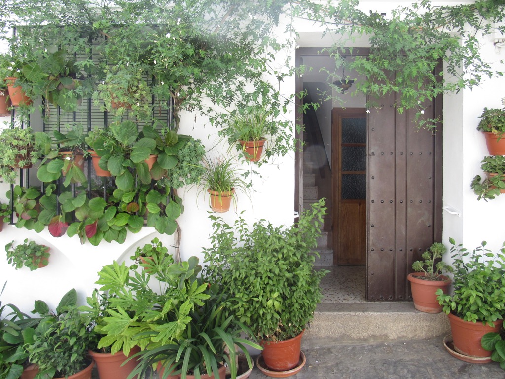 Village Camps International Summer Camp Chiclana, Spain 2017-07-28 https://www.villagecamps.com/journals_admin/images/1517-2860-IMG_3614.jpg