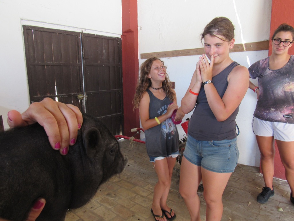 Village Camps International Summer Camp Chiclana, Spain 2017-07-28 https://www.villagecamps.com/journals_admin/images/1519-1192-IMG_3946.jpg