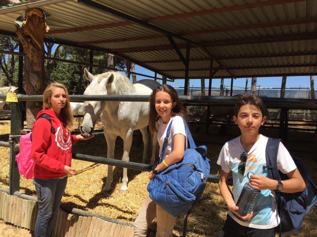 Village Camps International Summer Camp Chiclana, Spain 2017-07-28 https://www.villagecamps.com/journals_admin/images/1822-1732-IMG_7115.jpg