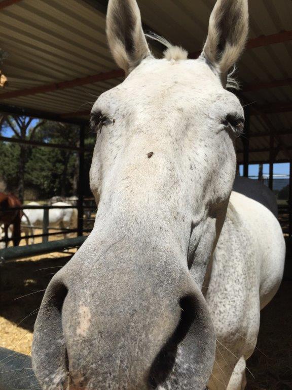 Village Camps International Summer Camp Chiclana, Spain 2017-07-28 https://www.villagecamps.com/journals_admin/images/1822-1754-IMG_7105.jpg