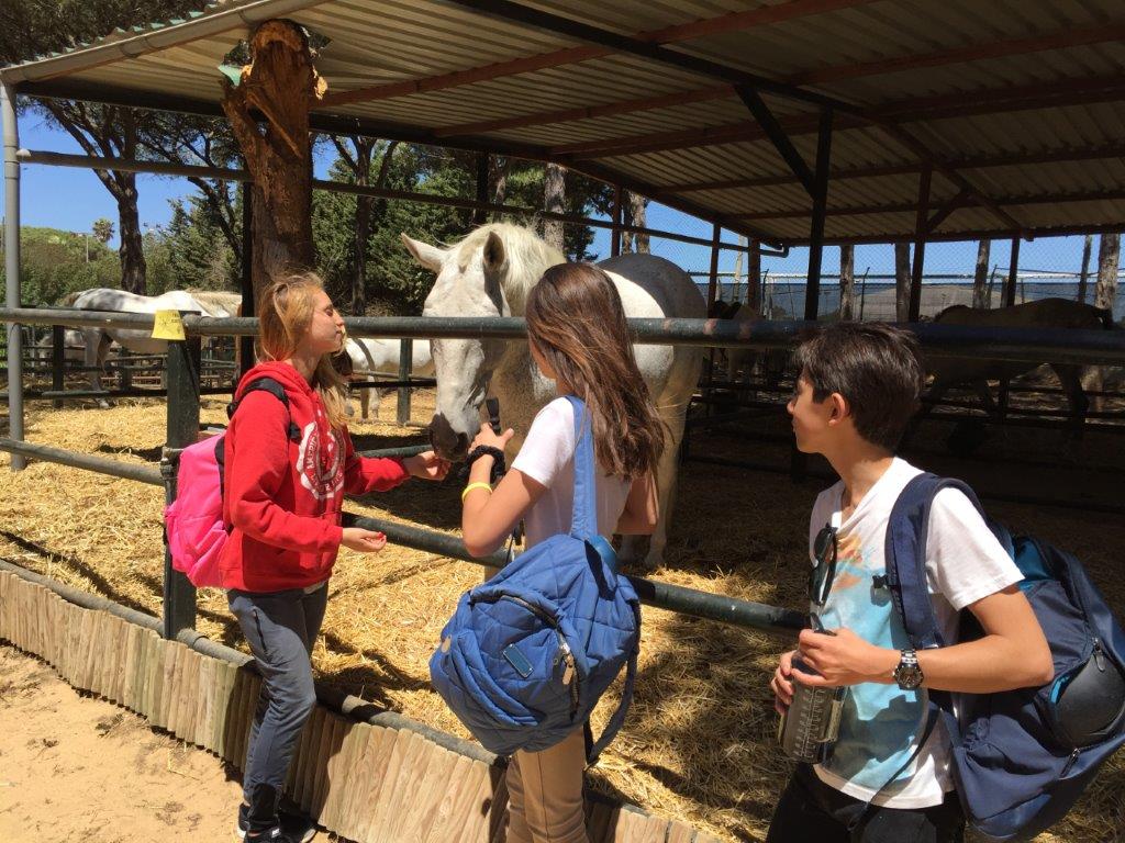 Village Camps International Summer Camp Chiclana, Spain 2017-07-28 https://www.villagecamps.com/journals_admin/images/1822-1771-IMG_7114.jpg