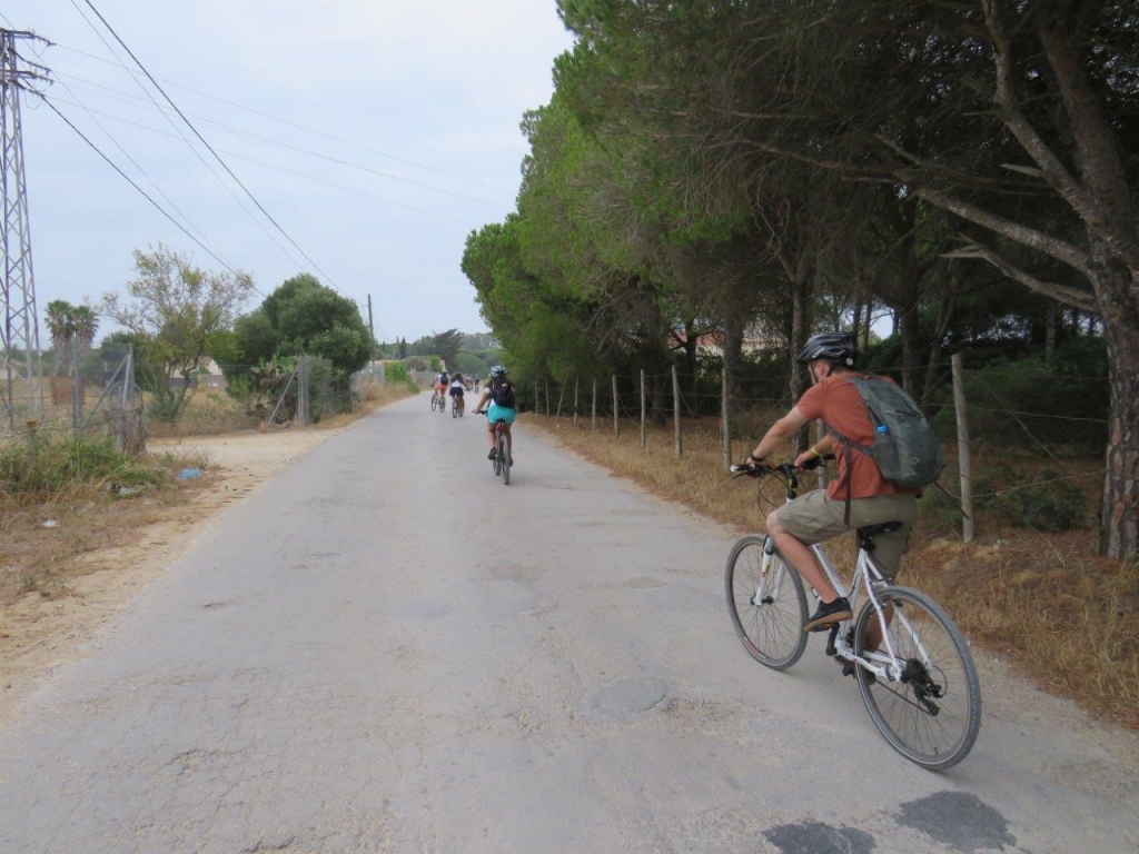 Village Camps International Summer Camp Chiclana, Spain 2017-07-28 https://www.villagecamps.com/journals_admin/images/1824-0319-IMG_4687.jpg Village Camps International Summer Camp Chiclana, Spain 2017-07-28 https://www.villagecamps.com/journals_admin/images/1824-0319-IMG_4687.jpg
