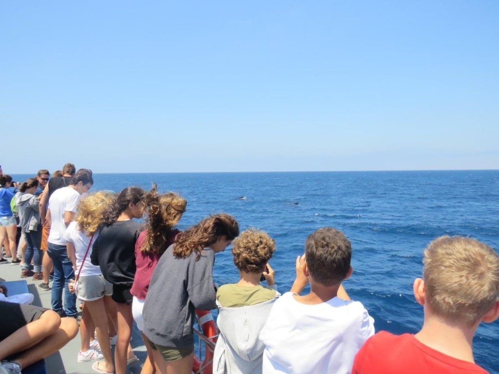 Village Camps International Summer Camp Chiclana, Spain 2017-07-28 https://www.villagecamps.com/journals_admin/images/1828-3526-IMG_5328.jpg