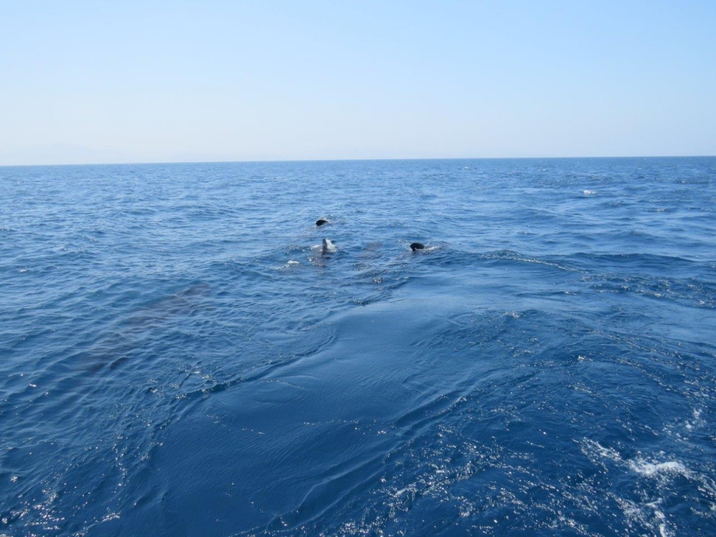 Village Camps International Summer Camp Chiclana, Spain 2017-07-28 https://www.villagecamps.com/journals_admin/images/1828-3528-IMG_5319.jpg