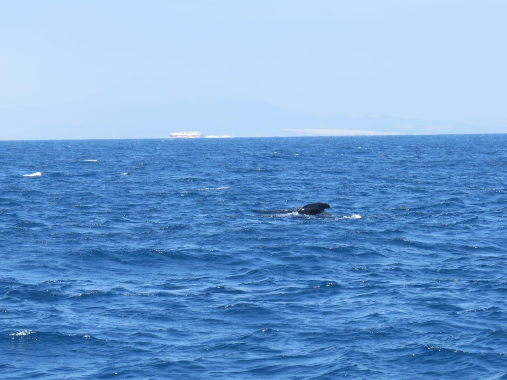 Village Camps International Summer Camp Chiclana, Spain 2017-07-28 https://www.villagecamps.com/journals_admin/images/1828-6307-IMG_5331.jpg