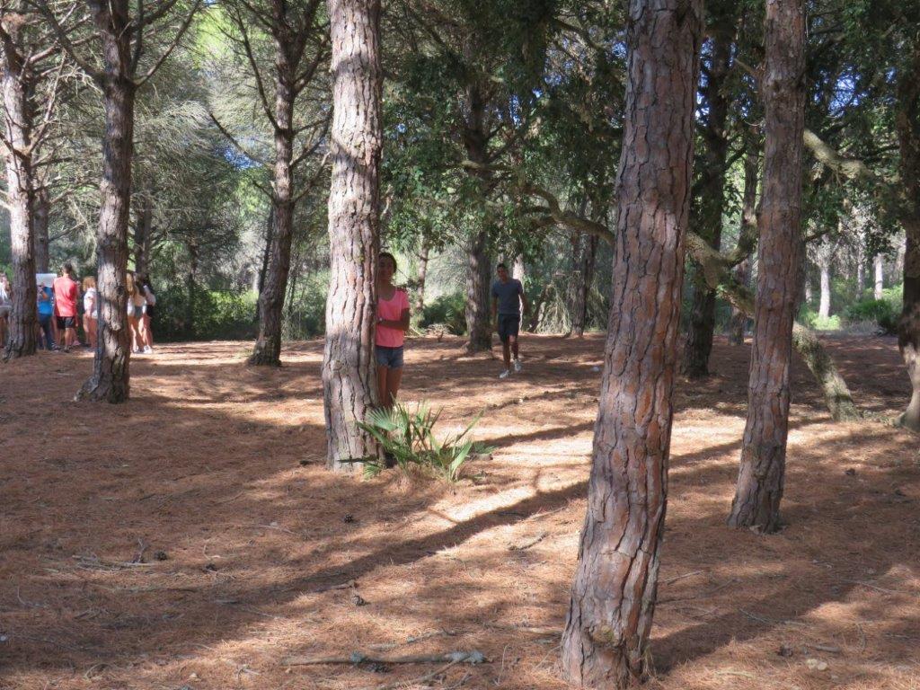 Village Camps International Summer Camp Chiclana, Spain 2017-07-28 https://www.villagecamps.com/journals_admin/images/1830-5996-IMG_5614.jpg