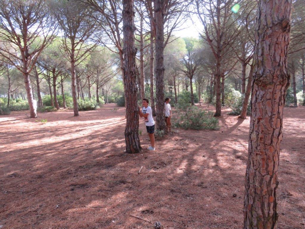 Village Camps International Summer Camp Chiclana, Spain 2017-07-28 https://www.villagecamps.com/journals_admin/images/1830-6016-IMG_5623.jpg