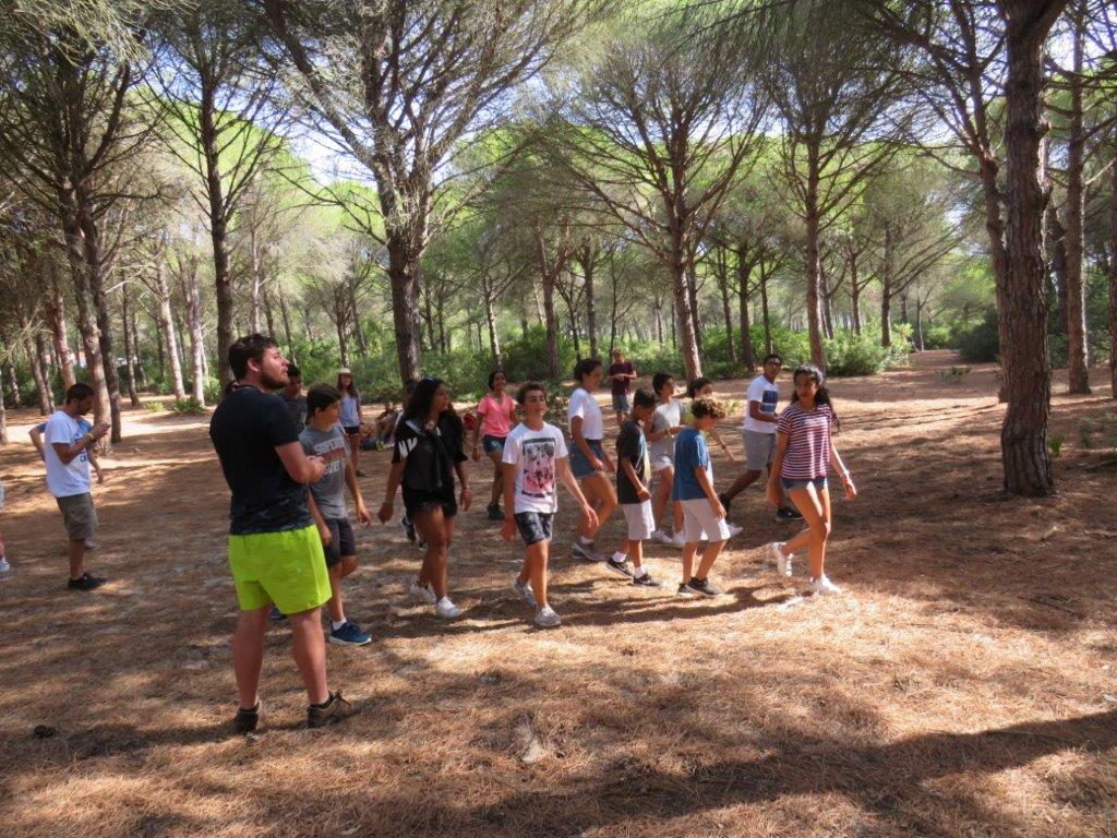 Village Camps International Summer Camp Chiclana, Spain 2017-07-28 https://www.villagecamps.com/journals_admin/images/1830-6044-IMG_5631.jpg Village Camps International Summer Camp Chiclana, Spain 2017-07-28 https://www.villagecamps.com/journals_admin/images/1830-6044-IMG_5631.jpg