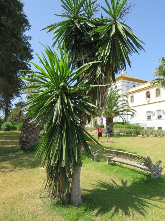 Village Camps International Summer Camp Chiclana, Spain 2017-07-28 https://www.villagecamps.com/journals_admin/images/1830-6198-IMG_5707.jpg Village Camps International Summer Camp Chiclana, Spain 2017-07-28 https://www.villagecamps.com/journals_admin/images/1830-6198-IMG_5707.jpg