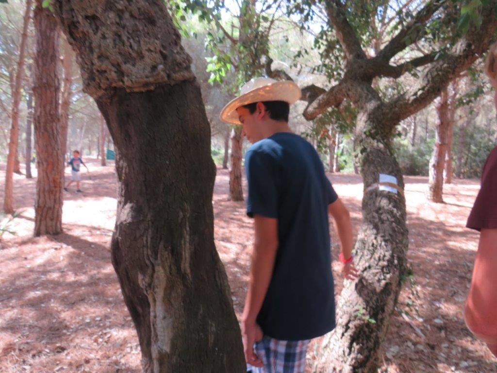 Village Camps International Summer Camp Chiclana, Spain 2017-07-28 https://www.villagecamps.com/journals_admin/images/1830-6390-IMG_5663.jpg Village Camps International Summer Camp Chiclana, Spain 2017-07-28 https://www.villagecamps.com/journals_admin/images/1830-6390-IMG_5663.jpg