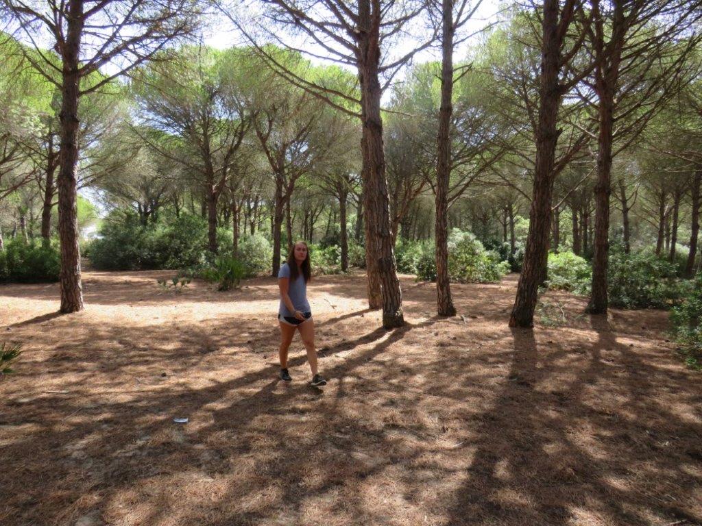 Village Camps International Summer Camp Chiclana, Spain 2017-07-28 https://www.villagecamps.com/journals_admin/images/1830-6473-IMG_5683.jpg