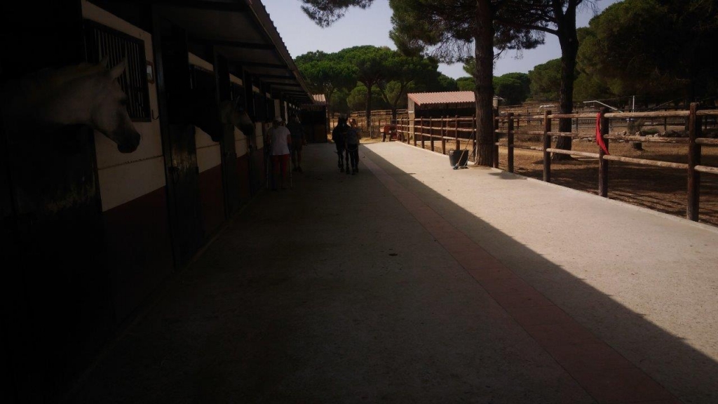 Village Camps International Summer Camp Chiclana, Spain 2017-07-28 https://www.villagecamps.com/journals_admin/images/1831-1056-P_20170712_110044.jpg