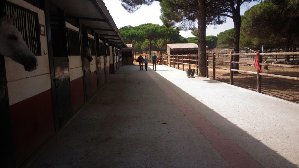 Village Camps International Summer Camp Chiclana, Spain 2017-07-28 https://www.villagecamps.com/journals_admin/images/1831-1064-P_20170712_110236.jpg Village Camps International Summer Camp Chiclana, Spain 2017-07-28 https://www.villagecamps.com/journals_admin/images/1831-1064-P_20170712_110236.jpg