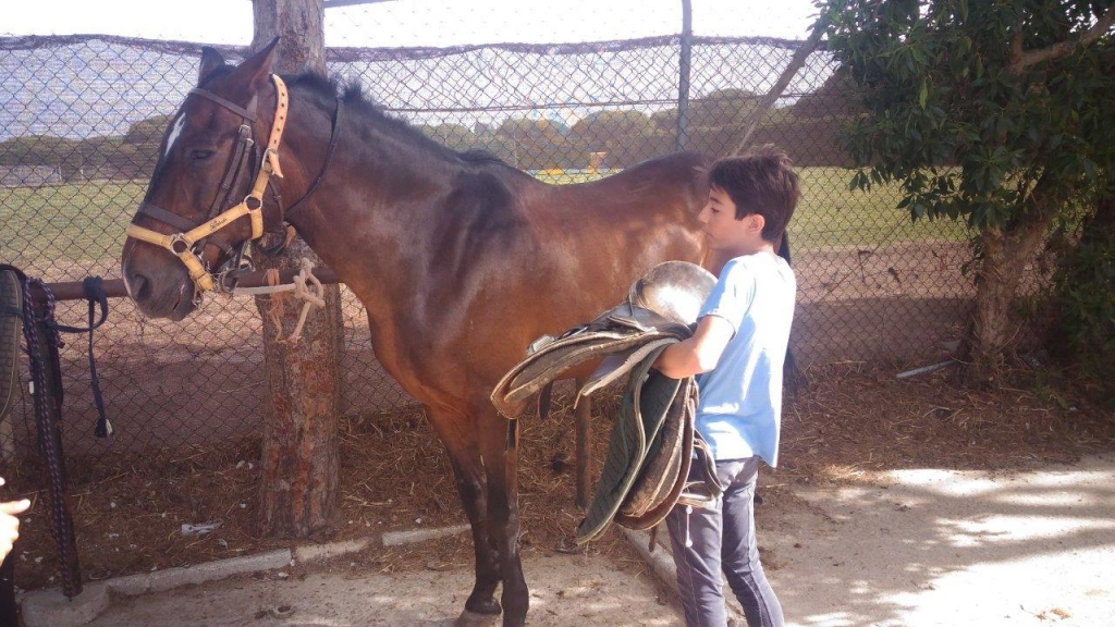 Village Camps International Summer Camp Chiclana, Spain 2017-07-28 https://www.villagecamps.com/journals_admin/images/1831-1078-P_20170712_103348.jpg