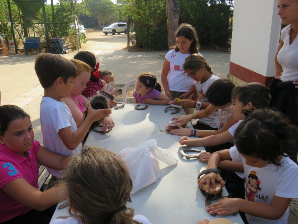 Village Camps International Summer Camp Chiclana, Spain 2017-07-28 https://www.villagecamps.com/journals_admin/images/1838-9102-IMG_7535.jpg
