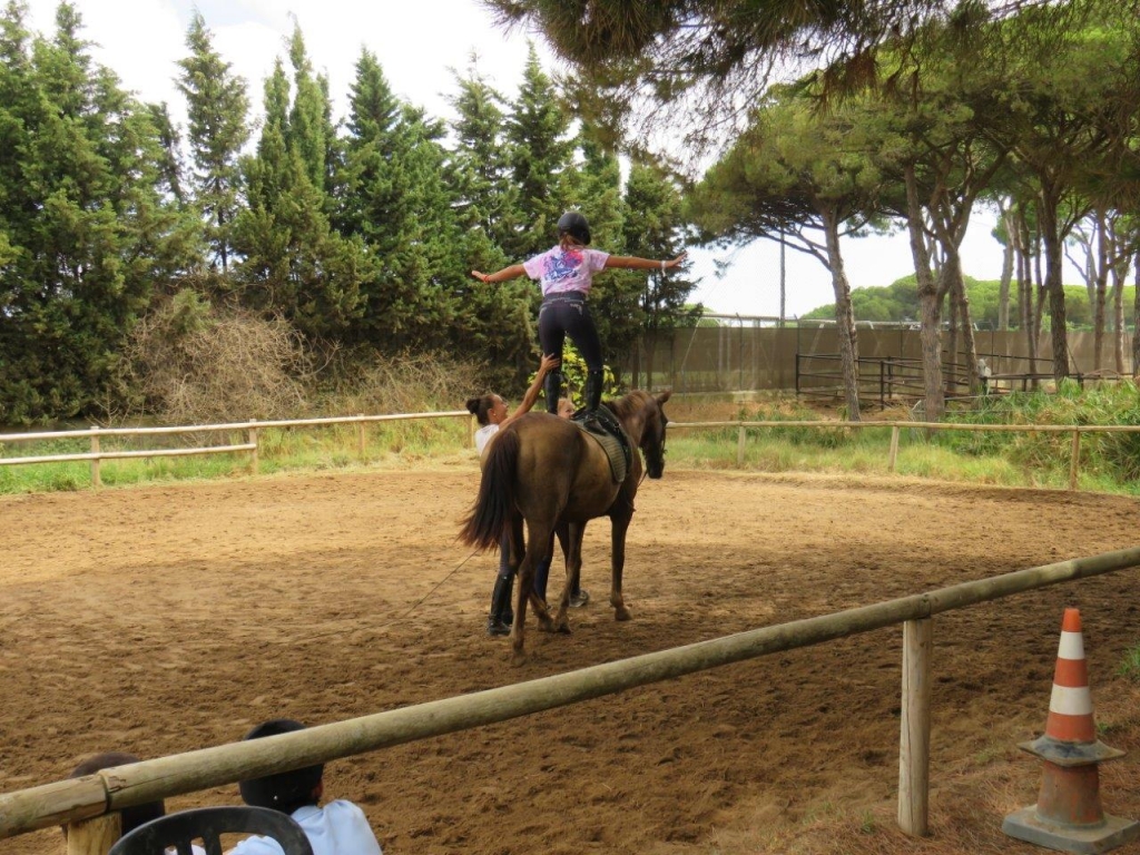 Village Camps International Summer Camp Chiclana, Spain 2017-07-28 https://www.villagecamps.com/journals_admin/images/1838-9114-IMG_7672.jpg