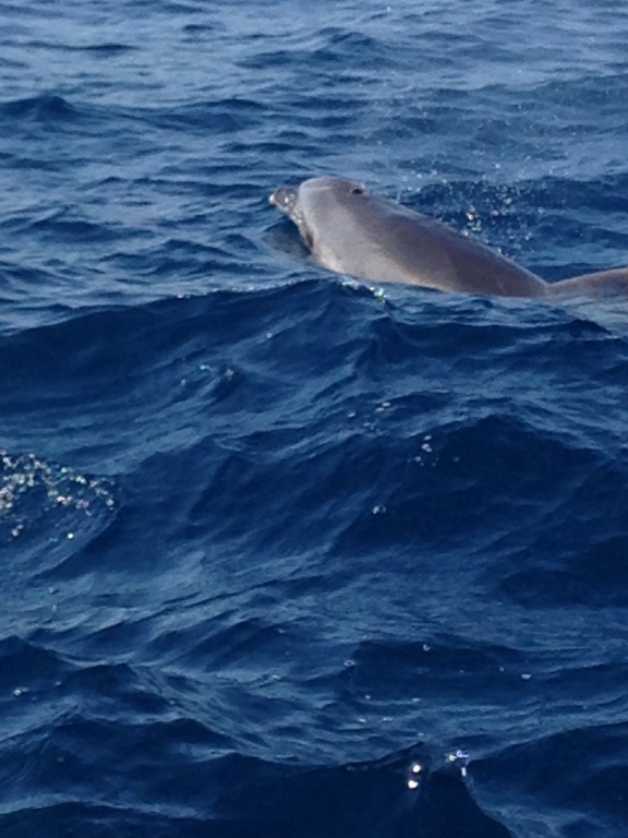 Village Camps International Summer Camp Chiclana, Spain 2017-07-28 https://www.villagecamps.com/journals_admin/images/1842-2026-File5.jpg