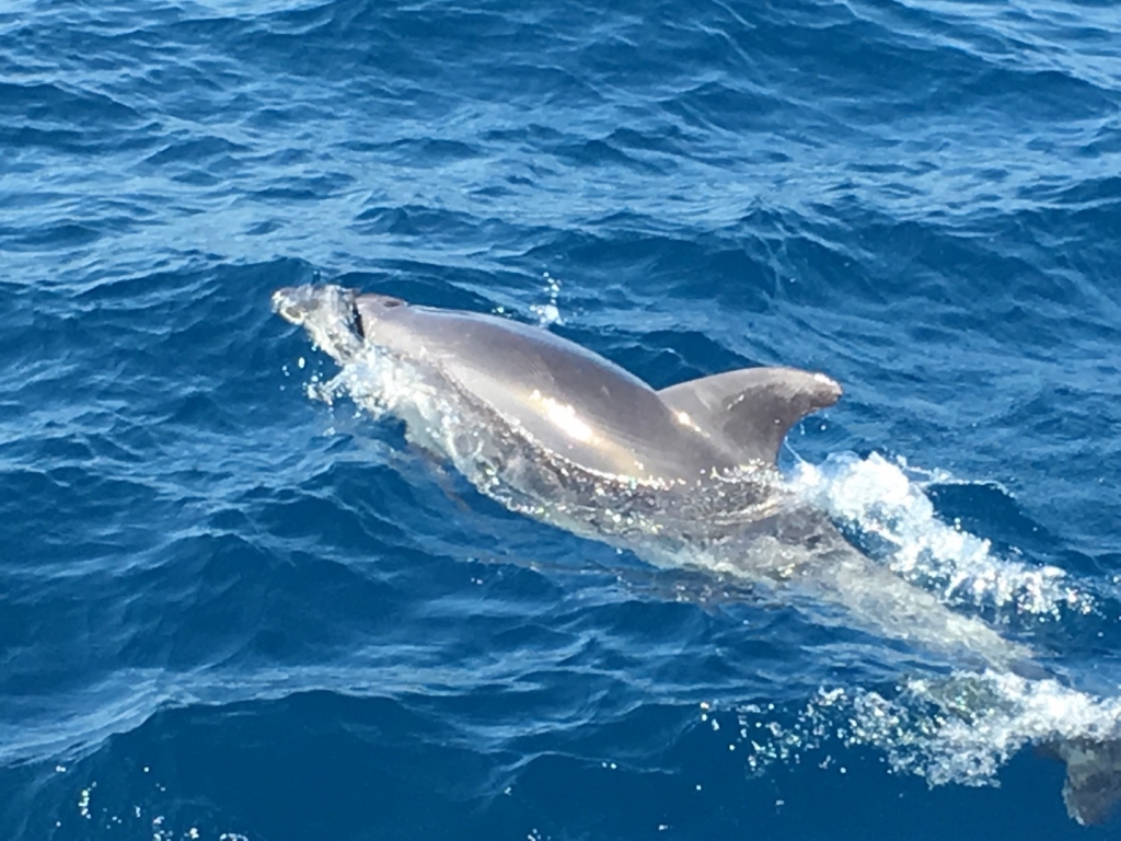 Village Camps International Summer Camp Chiclana, Spain 2017-07-28 https://www.villagecamps.com/journals_admin/images/1842-2091-File26.jpg