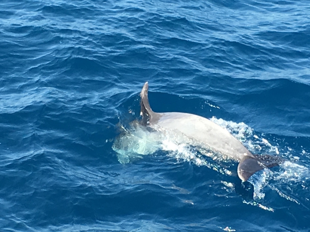 Village Camps International Summer Camp Chiclana, Spain 2017-07-28 https://www.villagecamps.com/journals_admin/images/1842-2114-File28.jpg