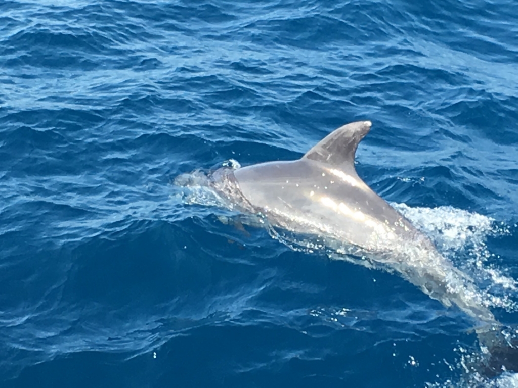 Village Camps International Summer Camp Chiclana, Spain 2017-07-28 https://www.villagecamps.com/journals_admin/images/1842-2174-File27.jpg