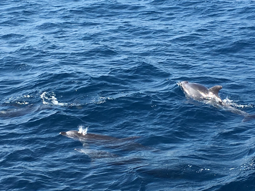 Village Camps International Summer Camp Chiclana, Spain 2017-07-28 https://www.villagecamps.com/journals_admin/images/1842-2184-File29.jpg