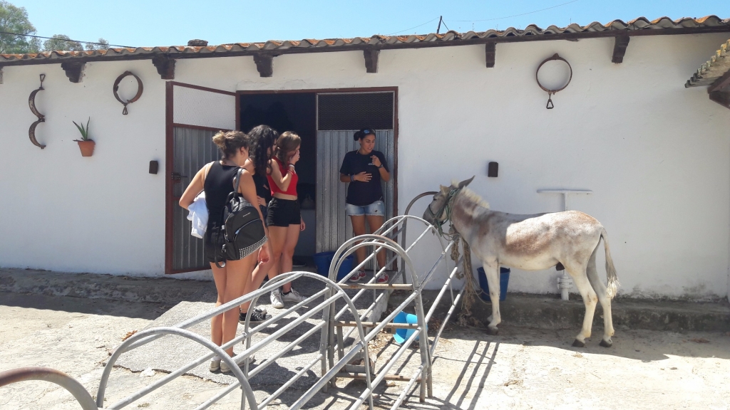 Village Camps International Summer Camp Chiclana, Spain 2017-07-28 https://www.villagecamps.com/journals_admin/images/1844-1009-20170725_125434.jpg Village Camps International Summer Camp Chiclana, Spain 2017-07-28 https://www.villagecamps.com/journals_admin/images/1844-1009-20170725_125434.jpg