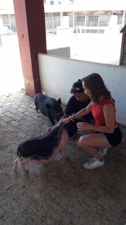 Village Camps International Summer Camp Chiclana, Spain 2017-07-28 https://www.villagecamps.com/journals_admin/images/1844-1030-20170725_131524.jpg Village Camps International Summer Camp Chiclana, Spain 2017-07-28 https://www.villagecamps.com/journals_admin/images/1844-1030-20170725_131524.jpg