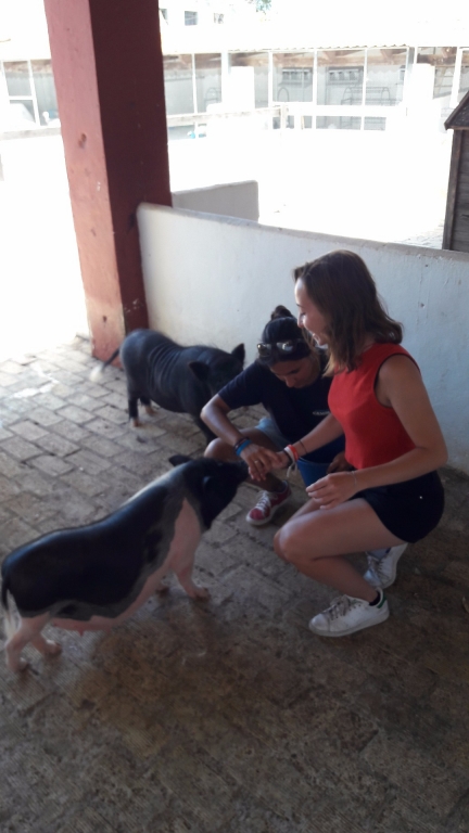 Village Camps International Summer Camp Chiclana, Spain 2017-07-28 https://www.villagecamps.com/journals_admin/images/1844-1066-20170725_131522.jpg Village Camps International Summer Camp Chiclana, Spain 2017-07-28 https://www.villagecamps.com/journals_admin/images/1844-1066-20170725_131522.jpg