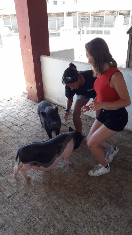 Village Camps International Summer Camp Chiclana, Spain 2017-07-28 https://www.villagecamps.com/journals_admin/images/1844-1282-20170725_131526.jpg