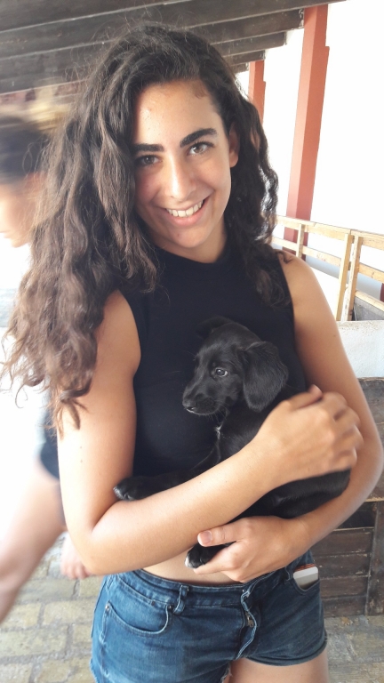 Village Camps International Summer Camp Chiclana, Spain 2017-07-28 https://www.villagecamps.com/journals_admin/images/1844-1468-20170725_132918.jpg Village Camps International Summer Camp Chiclana, Spain 2017-07-28 https://www.villagecamps.com/journals_admin/images/1844-1468-20170725_132918.jpg