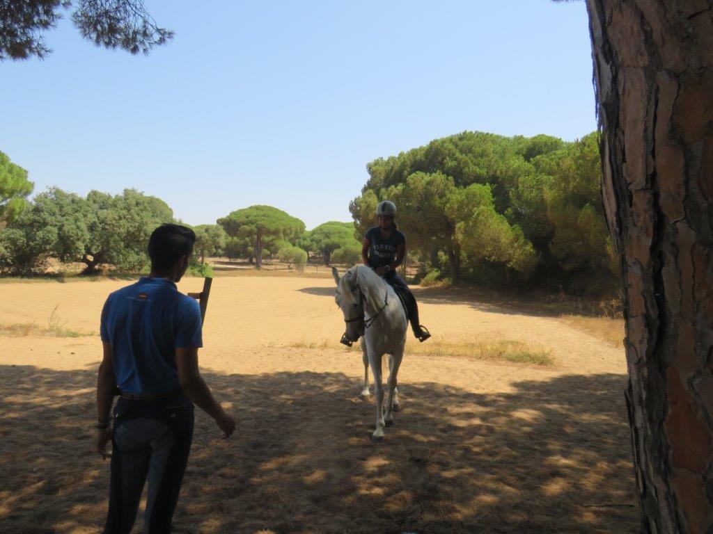 Village Camps International Summer Camp Chiclana, Spain 2017-07-28 https://www.villagecamps.com/journals_admin/images/1846-1415-IMG_9376.jpg Village Camps International Summer Camp Chiclana, Spain 2017-07-28 https://www.villagecamps.com/journals_admin/images/1846-1415-IMG_9376.jpg