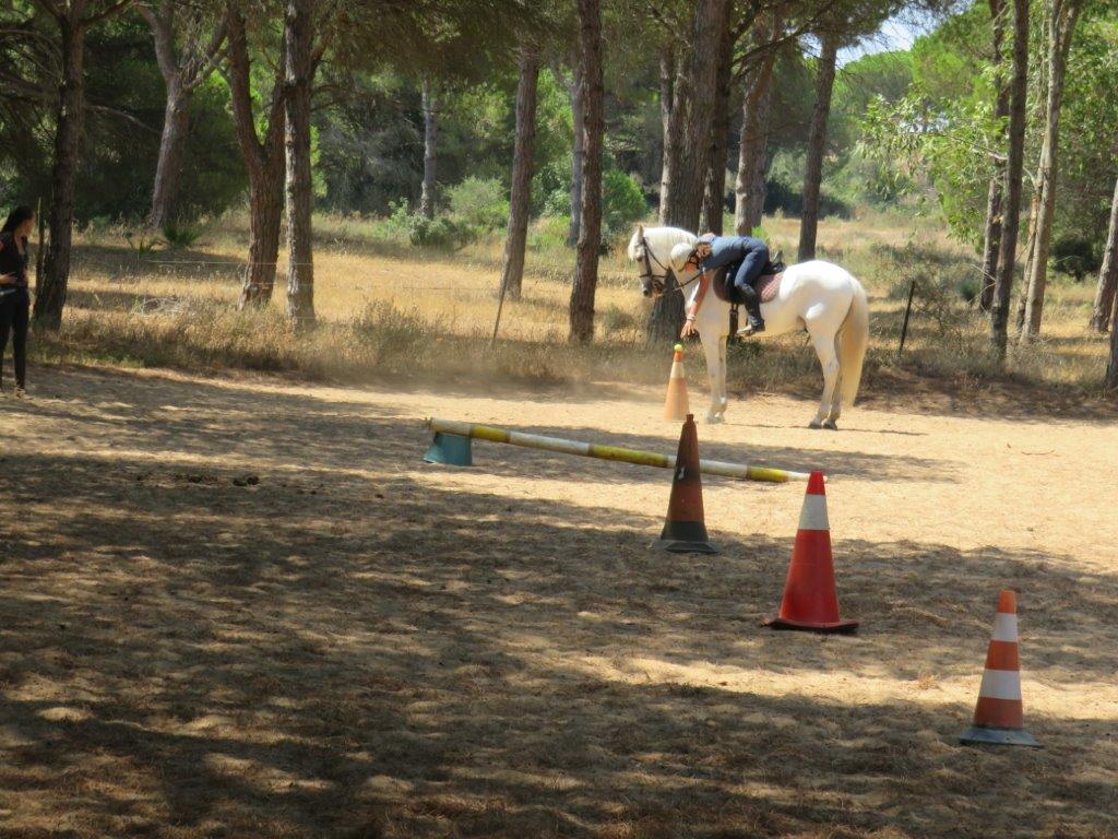 Village Camps International Summer Camp Chiclana, Spain 2017-07-28 https://www.villagecamps.com/journals_admin/images/1846-1430-IMG_9387.jpg