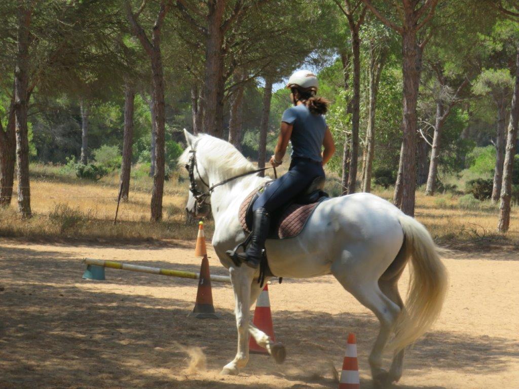 Village Camps International Summer Camp Chiclana, Spain 2017-07-28 https://www.villagecamps.com/journals_admin/images/1846-1432-IMG_9385.jpg