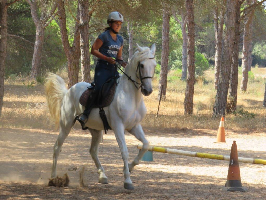 Village Camps International Summer Camp Chiclana, Spain 2017-07-28 https://www.villagecamps.com/journals_admin/images/1846-1443-IMG_9393.jpg Village Camps International Summer Camp Chiclana, Spain 2017-07-28 https://www.villagecamps.com/journals_admin/images/1846-1443-IMG_9393.jpg
