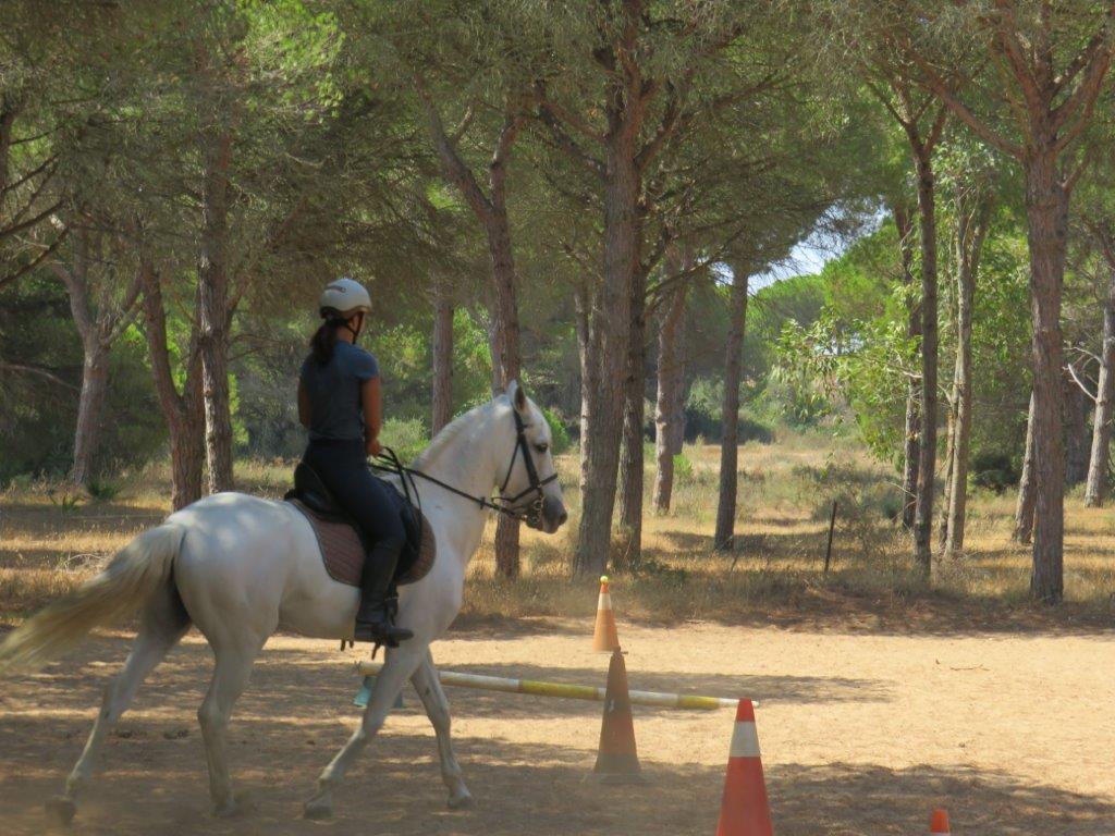 Village Camps International Summer Camp Chiclana, Spain 2017-07-28 https://www.villagecamps.com/journals_admin/images/1846-1813-IMG_9386.jpg Village Camps International Summer Camp Chiclana, Spain 2017-07-28 https://www.villagecamps.com/journals_admin/images/1846-1813-IMG_9386.jpg