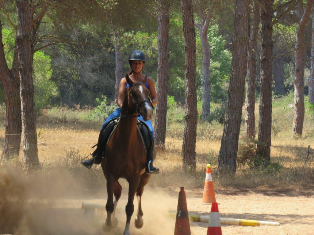 Village Camps International Summer Camp Chiclana, Spain 2017-07-28 https://www.villagecamps.com/journals_admin/images/1846-1842-IMG_9415.jpg Village Camps International Summer Camp Chiclana, Spain 2017-07-28 https://www.villagecamps.com/journals_admin/images/1846-1842-IMG_9415.jpg