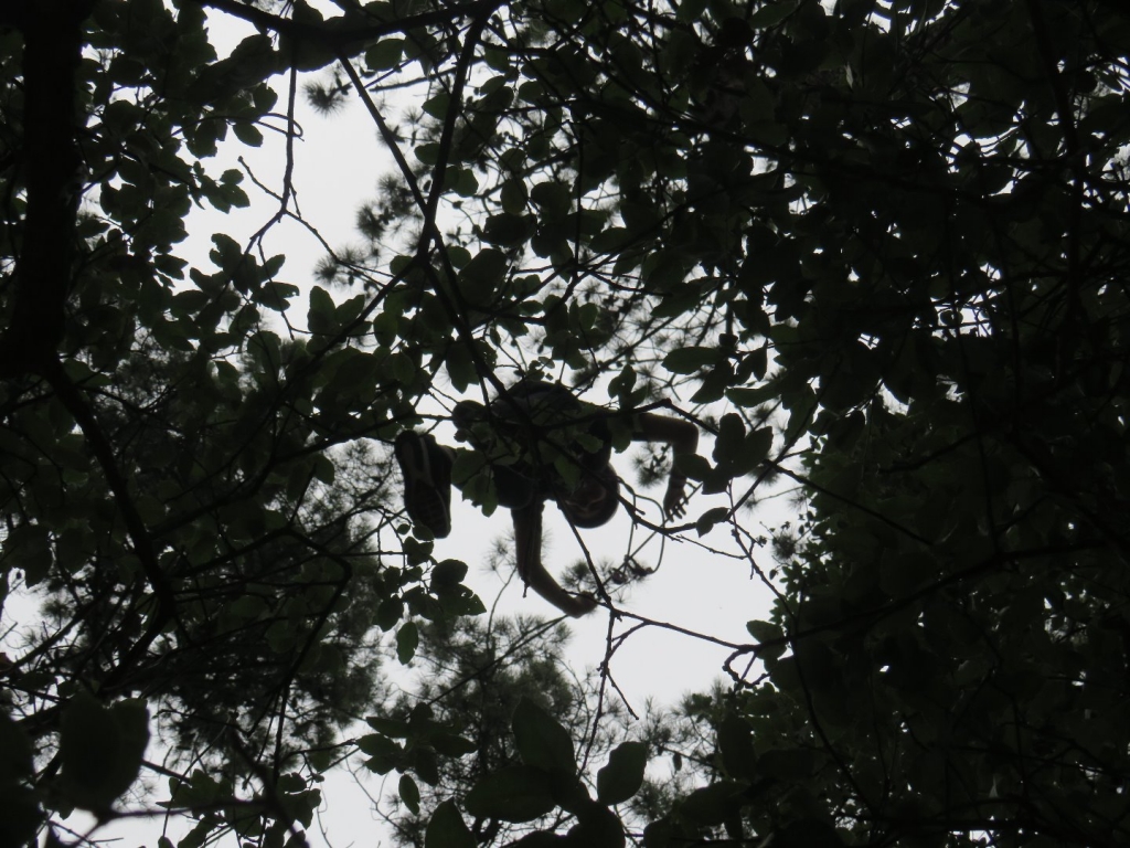 Village Camps International Summer Camp Santa Cruz, Portugal 2025-07-25 https://www.villagecamps.com/journals_admin/images/2005-3998-IMG_1403.jpg