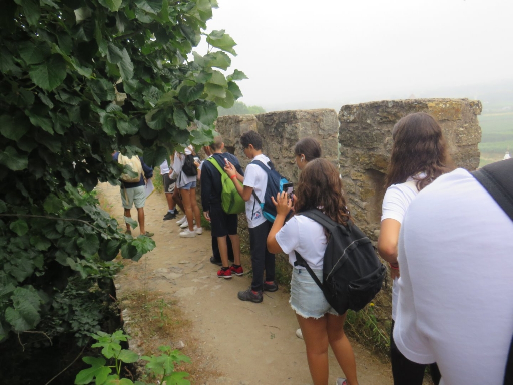 Village Camps International Summer Camp Santa Cruz, Portugal 2025-07-25 https://www.villagecamps.com/journals_admin/images/2006-0623-IMG_1467.jpg